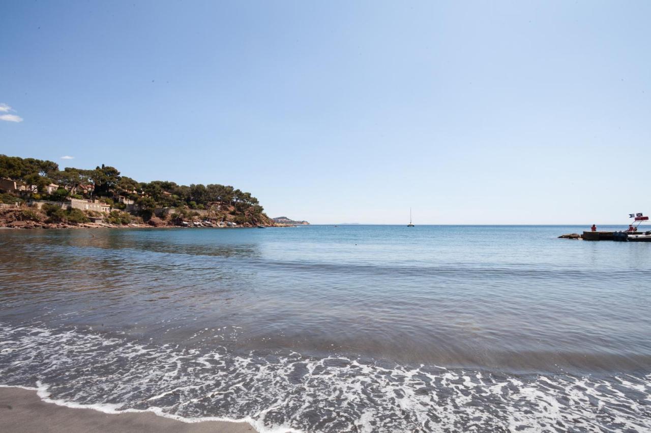 T2 - La Seyne Sur Mer - Fabregas Exterior foto