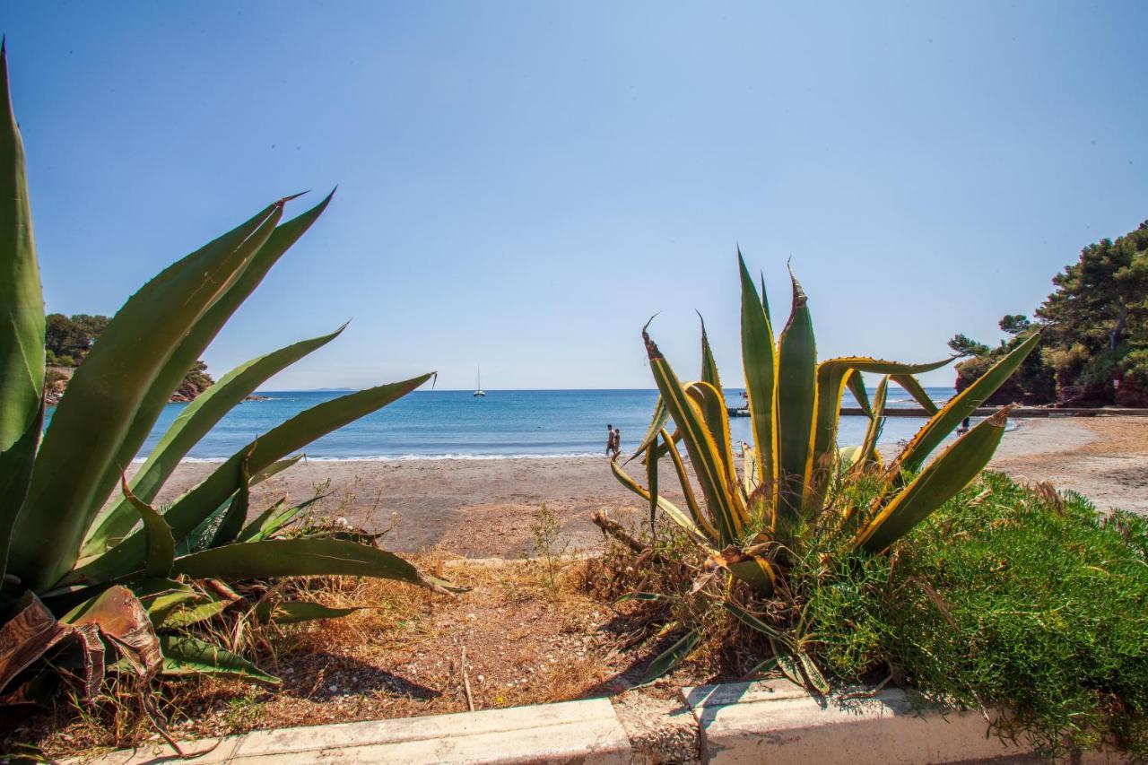 T2 - La Seyne Sur Mer - Fabregas Exterior foto